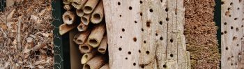 Bug hotel